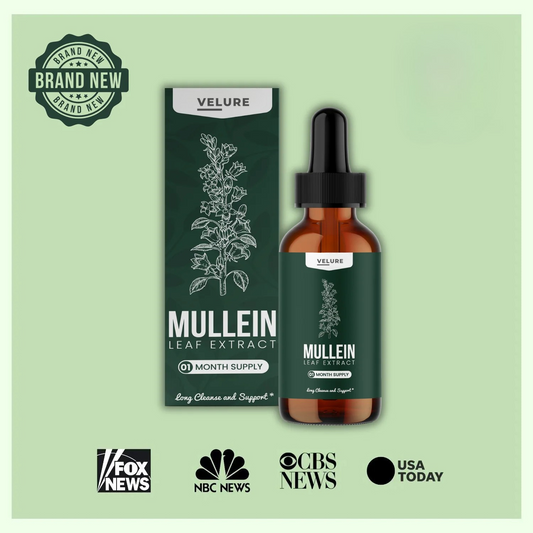 VELURE - Mullein + Chlorophyll Lung Drops