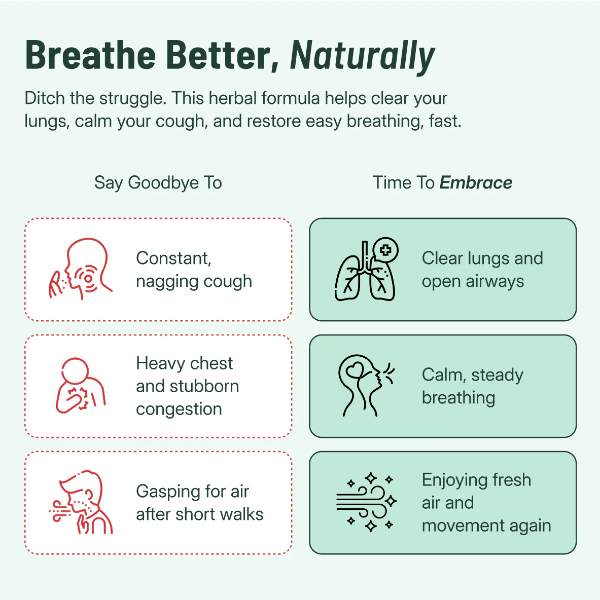 VELURE - Mullein + Chlorophyll Lung Drops